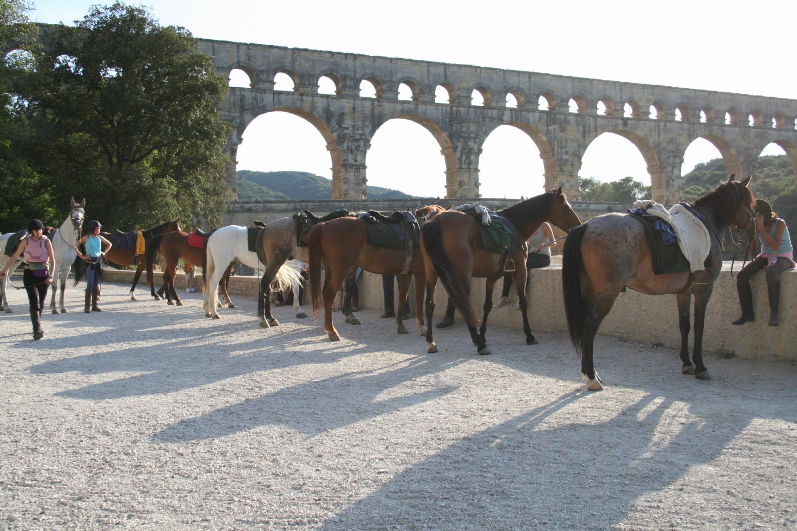 Randonnée à cheval au Pont du Gard 