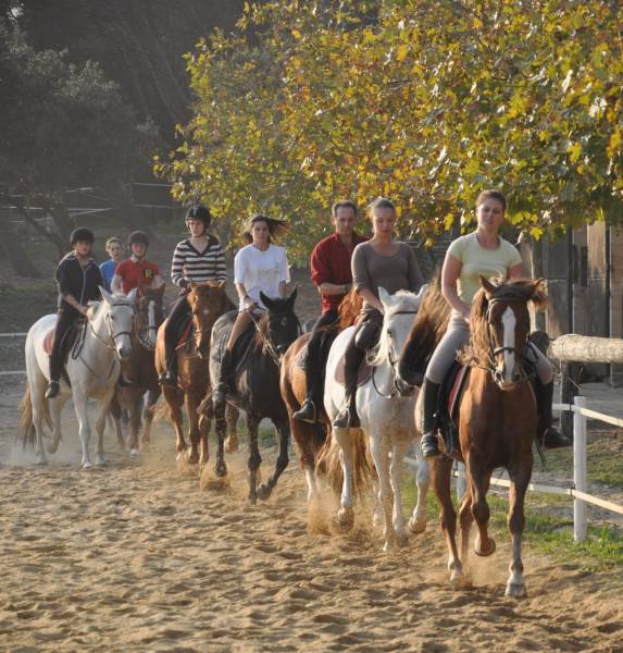 Cours collectifs d'équitation inclus dans le prix de pension de vos chevaux