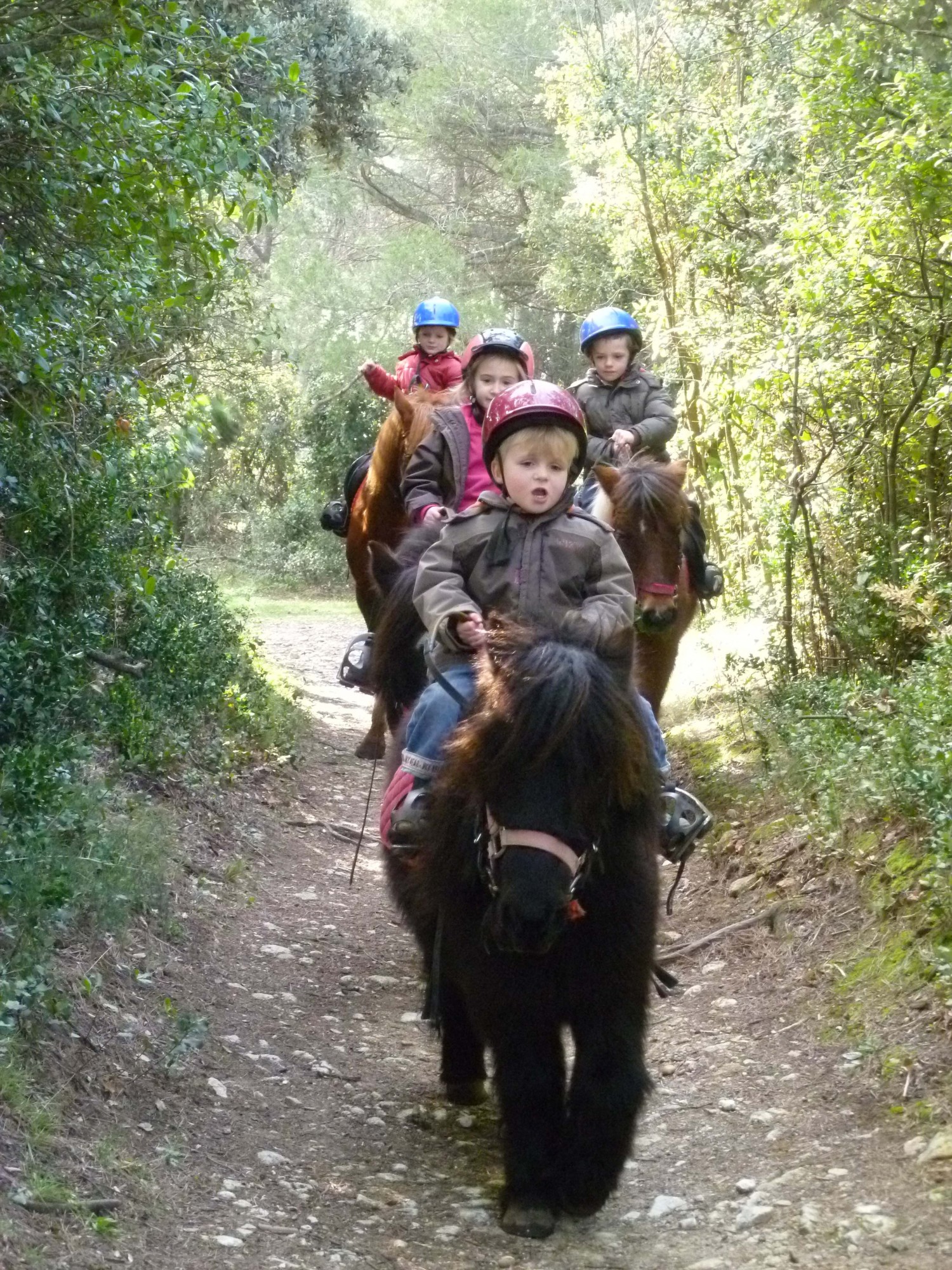 Cours à poney  Bébés cavaliers de 3 à 6 ans sur Les ANgles à côté d'Avignon