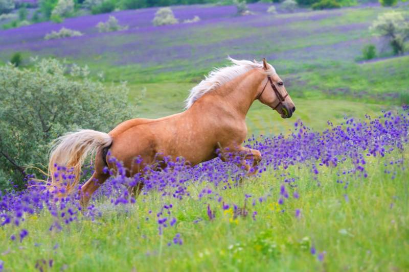LE PROGRAMME DES VACANCES DE PAQUES EST PARU
