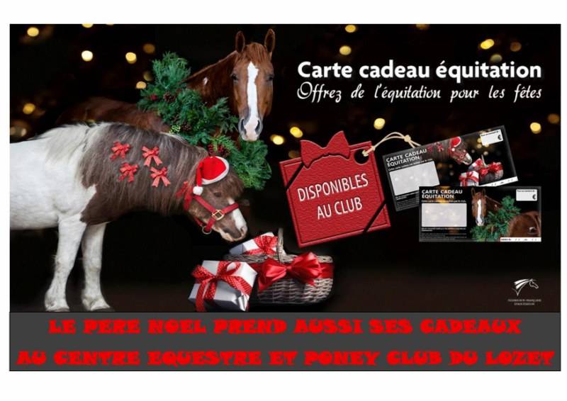 UNE IDEE DE CADEAU ?