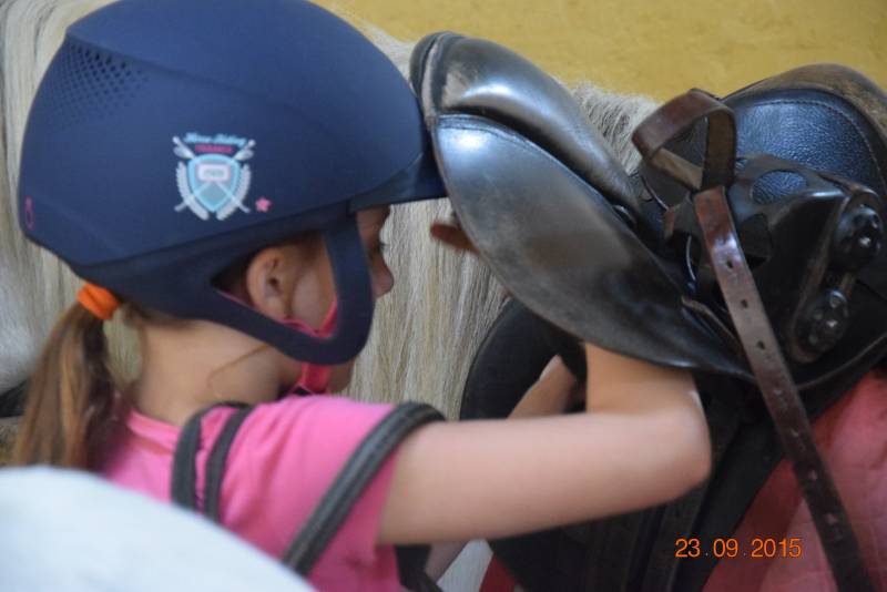 STAGES   DES VACANCES DE TOUSSAINT A PONEY AUX PORTES D'AVIGNON