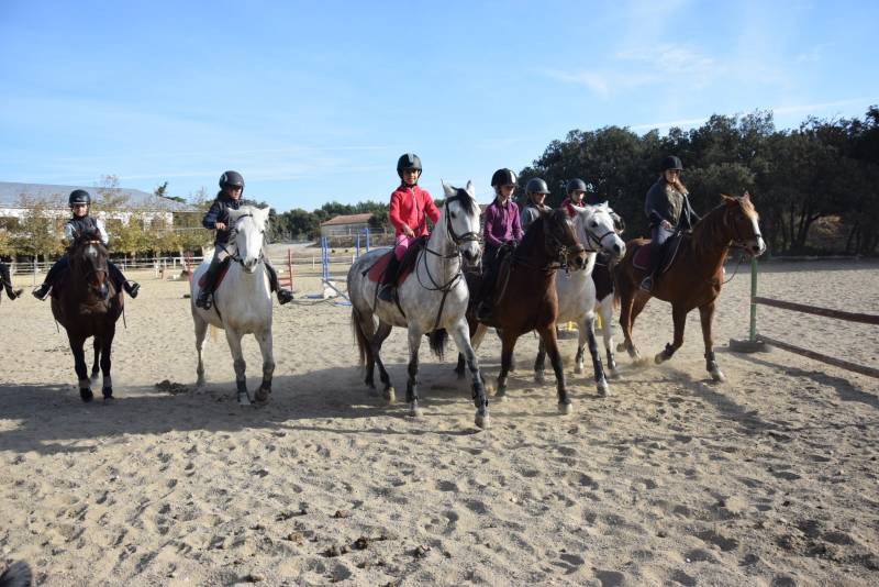 VACANCES DE TOUSSAINT 2019: LES STAGES A PONEY OU DOUBLE PONEY