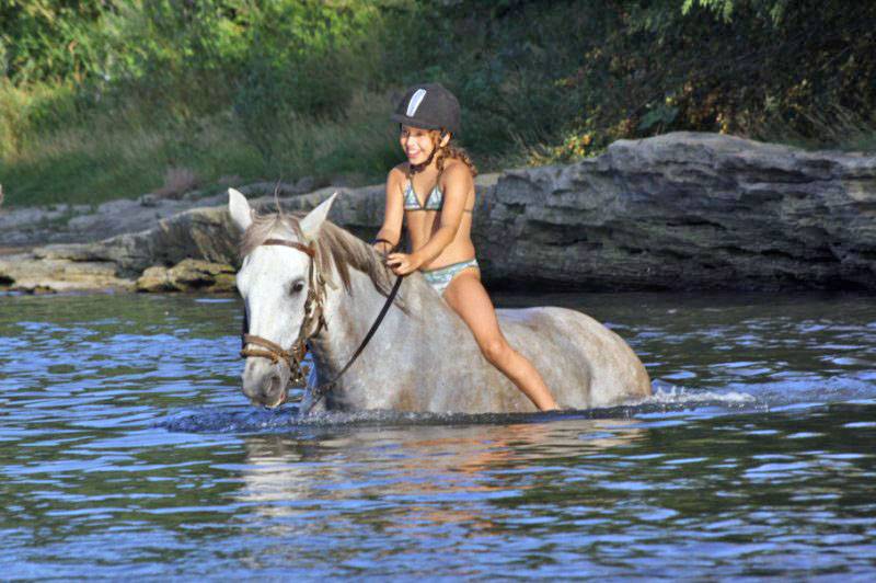 ACTIVITES A CHEVAL OU A PONEY ETE 2023