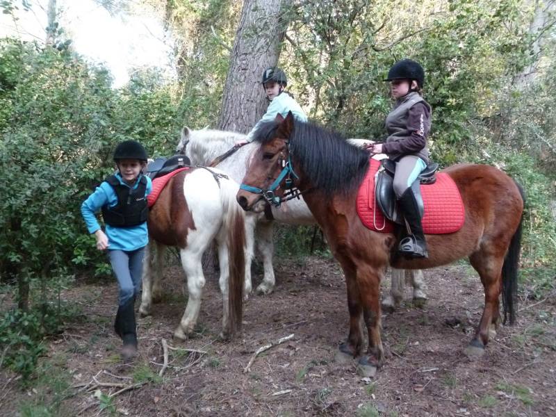 Chasse au trésor d'Halloween le 1er Novembre