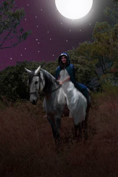 Vacances de Toussaint stages et animations