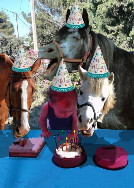 Fêter son anniversaire au Lozet