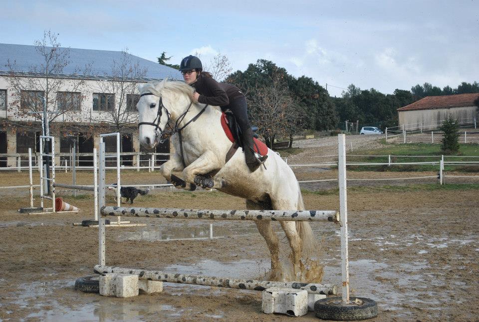 Cours d'obstacle dans la carriere