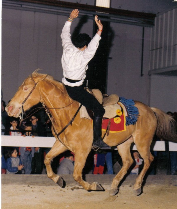 présentation de voltige cosaque à Cheval passion