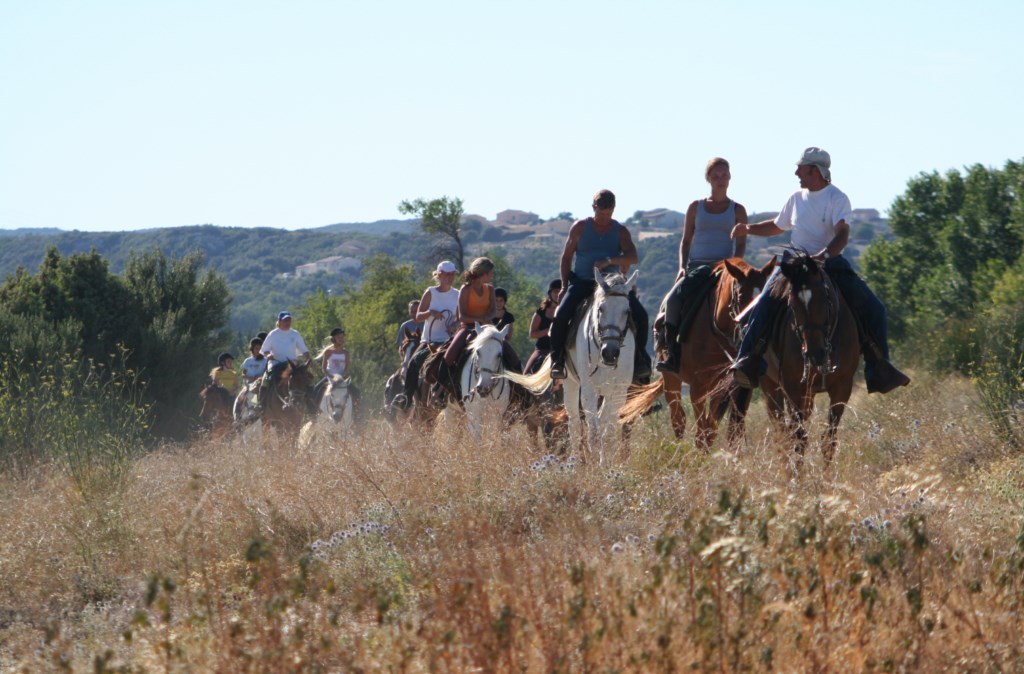 Les services d'un Guide de Tourisme Equestre experimenté