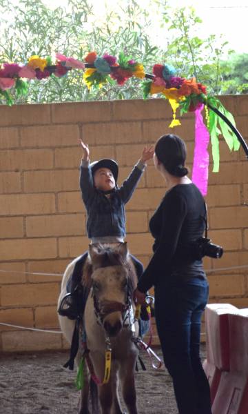 Cours à poney  P'tits loups de 2 à 4 ans