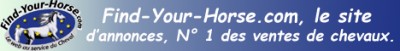 FIND YOUR HORSE.COM